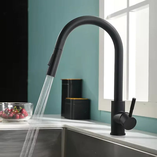 stainless steel faucet pull-out type