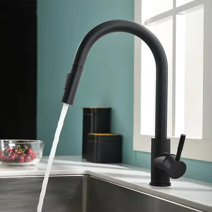 stainless steel faucet pull-out type